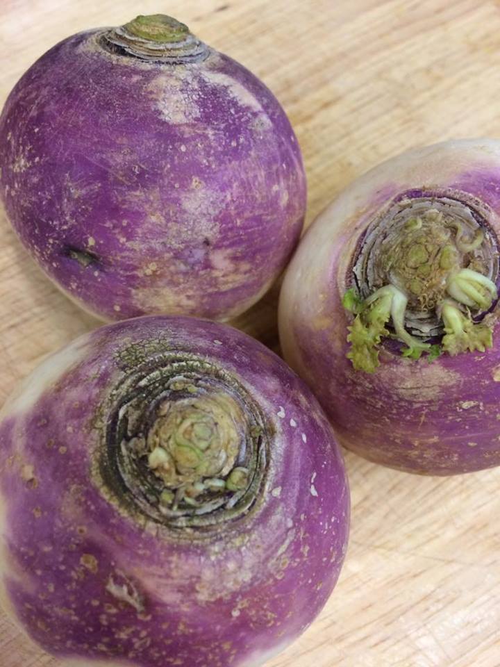 17141219_10212410315761296_1368885729_n